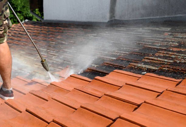 Best Sidewalk Pressure Washing  in Dunellen, NJ